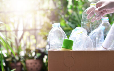 Geeignete Inhaltsstoffe in nachhaltigen Verpackungen