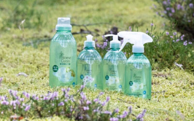 Sieben von 10 Verbrauchern wünschen sich natürliche Reinigungsmittel